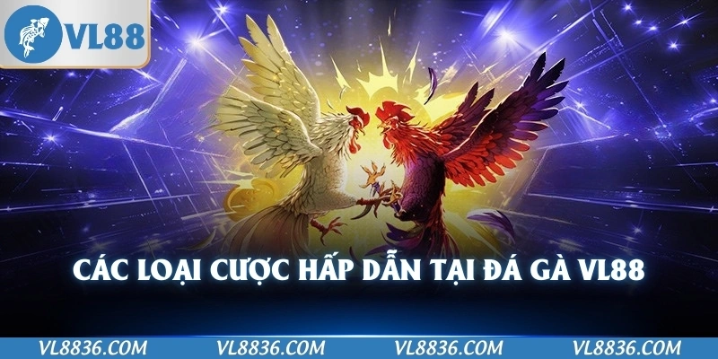 Các loại cược hấp dẫn tại đá gà VL88