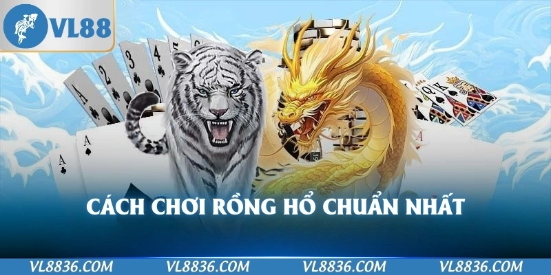 Cách chơi rồng hổ chuẩn nhất