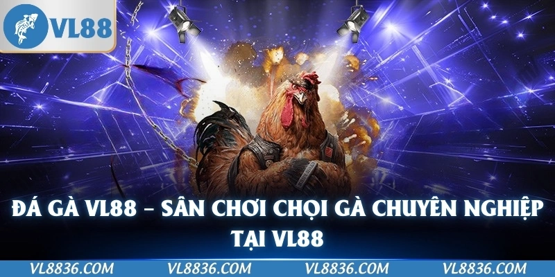 Đá Gà VL88 – Sân Chơi Chọi Gà Chuyên Nghiệp Tại VL88