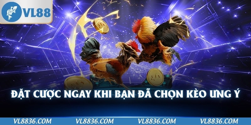 Đặt cược ngay khi bạn đã chọn kèo ưng ý