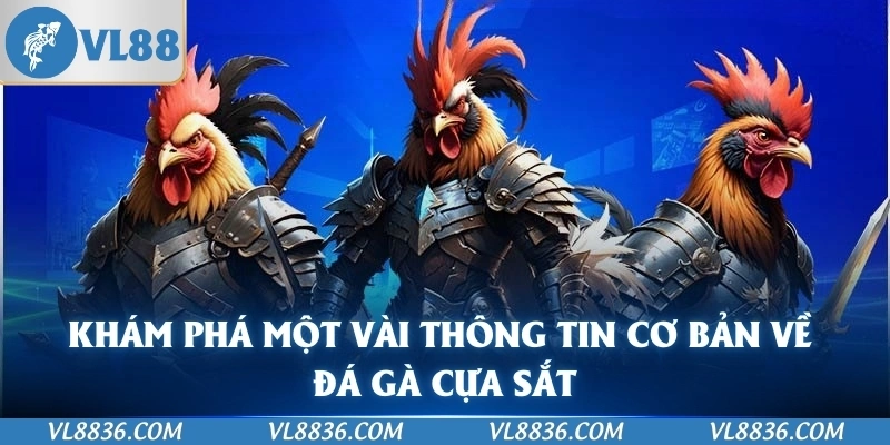 Khám phá một vài thông tin cơ bản về đá gà cựa sắt