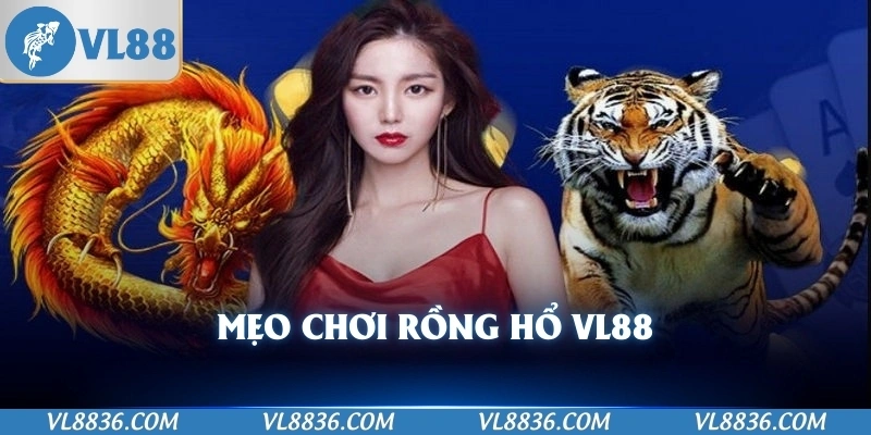 Mẹo chơi rồng hổ VL88
