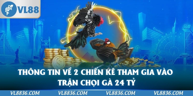 Thông tin về 2 chiến kê tham gia vào trận chọi gà 24 tỷ
