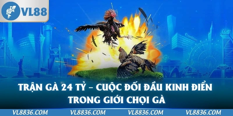 Trận Gà 24 Tỷ – Cuộc Đối Đầu Kinh Điển Trong Giới Chọi Gà