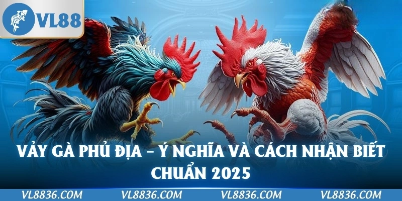 Vảy Gà Phủ Địa – Ý Nghĩa Và Cách Nhận Biết Chuẩn 2025